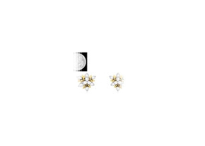 Gold Plated | Fashion Earrings